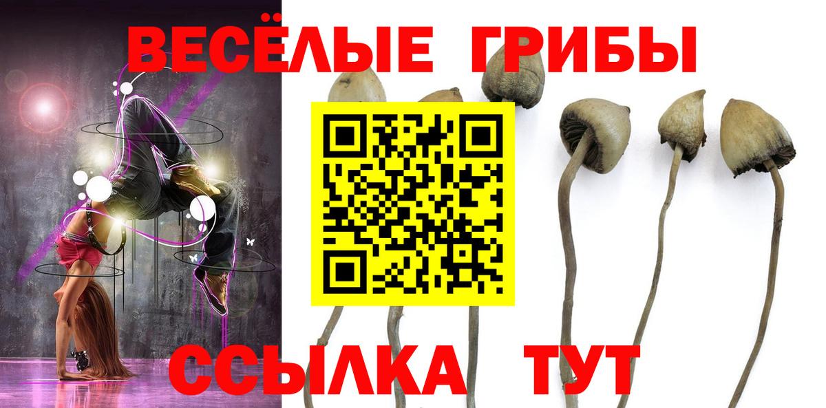 Галлюциногенные грибы мицелий  Псилоцибиновые грибы Cubensis  Вход с VPN  Киржач 